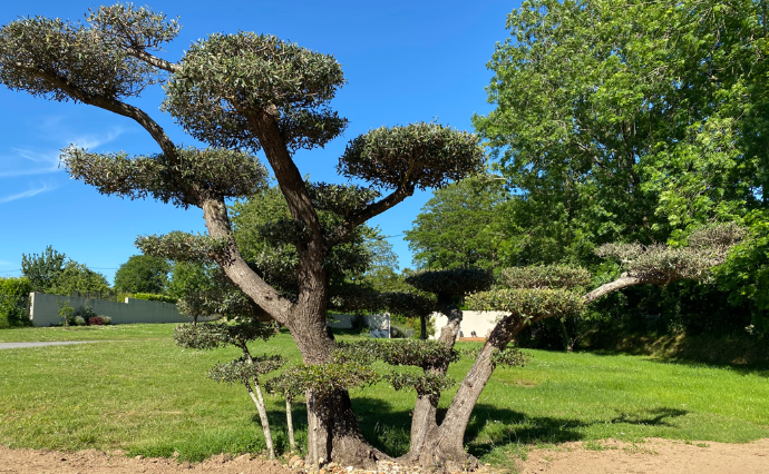 entretien de jardin et espaces verts par Quéré Paysages à Quimper