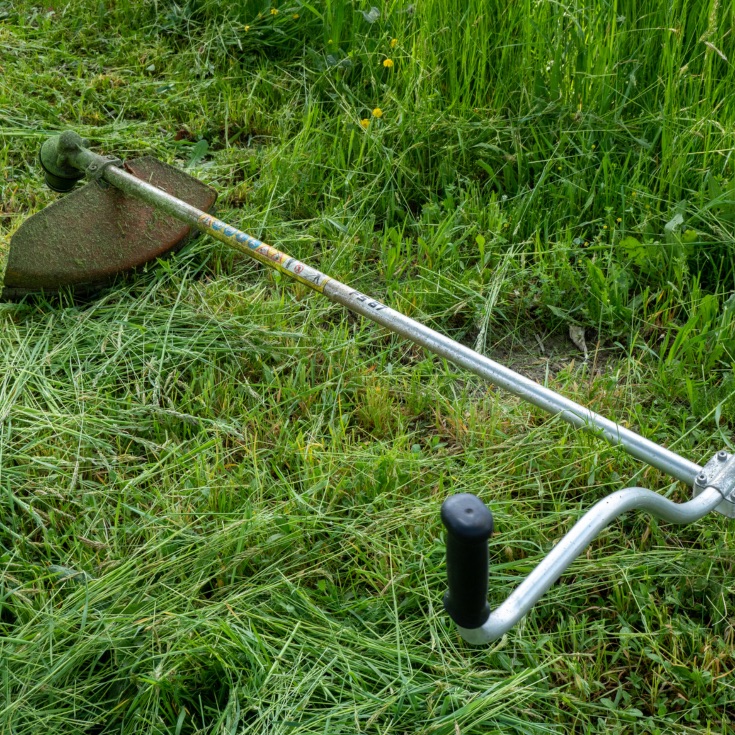 débroussaillage terrain – Quéré Paysages débroussaillage terrain par Quéré Paysages à Quimper