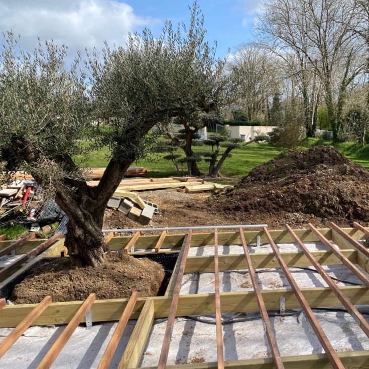 plantation jardin – Quéré Paysages plantation jardin par Quéré Paysages à Quimper