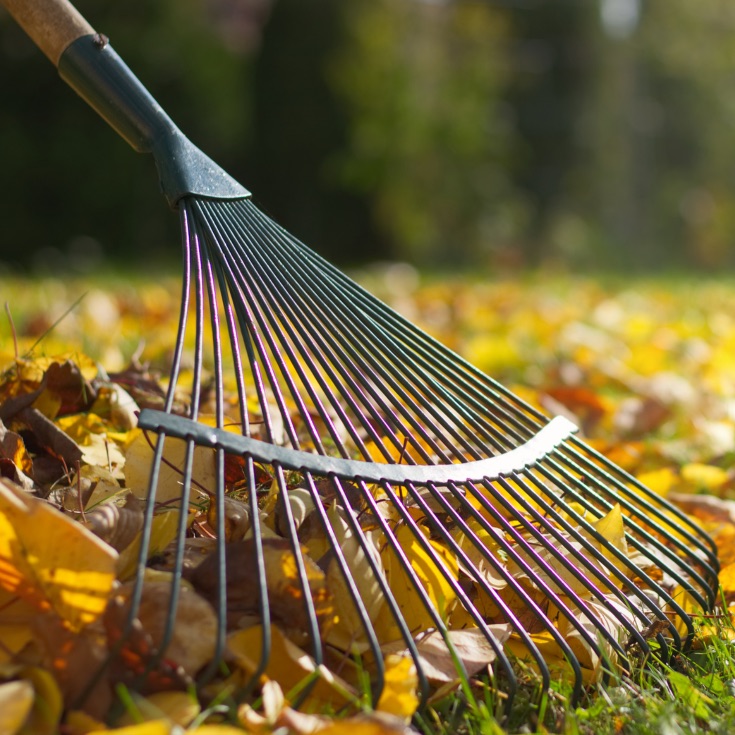 ramassage des feuilles – Quéré Paysages ramassage des feuilles par Quéré Paysages à Quimper