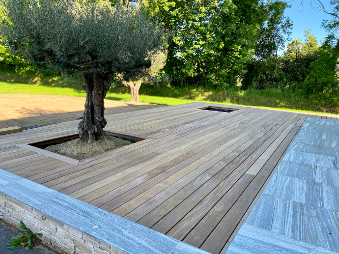 Plantation d’un olivier adulte avec engin de levage à Quimper par Quéré Paysages