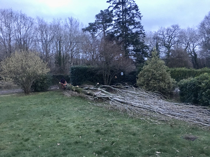 Abattage d’arbre par Quéré Paysages Abattage d’un arbre dans un jardin par Quéré Paysages