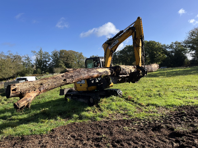 Abattage et évacuation de tronc à Quimper — Quéré Paysages Abattage d’arbre avec évacuation de tronc à Quimper par Quéré Paysages