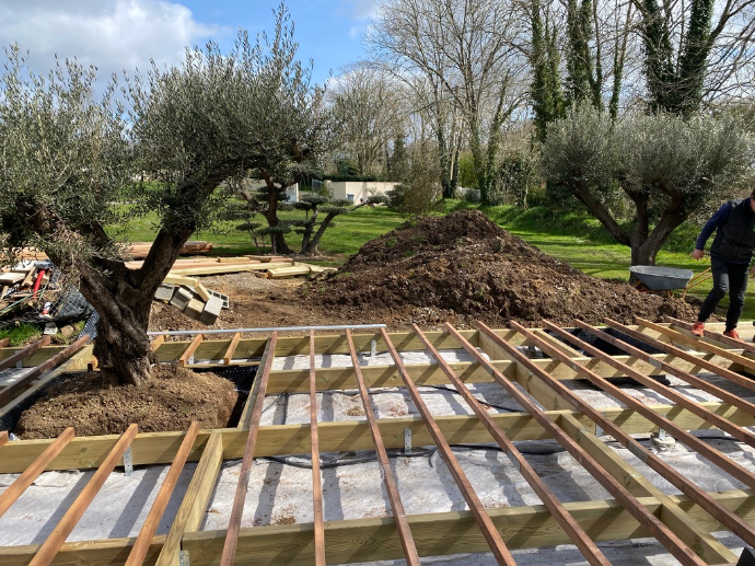 Plantation d’olivier à Quimper — Quéré Paysages Plantation d’olivier dans un jardin paysager à Quimper par Quéré Paysages