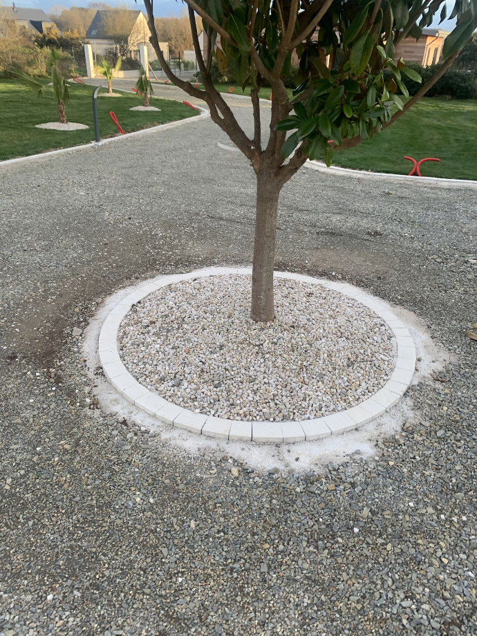 Pavage autour d’arbre à Clohars-Fouesnant — Quéré Paysages Pavage décoratif autour d’un arbre à Clohars-Fouesnant réalisé par Quéré Paysages